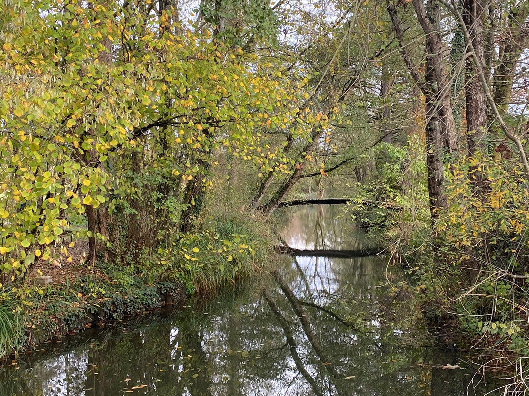 Moulin des Foulons主图