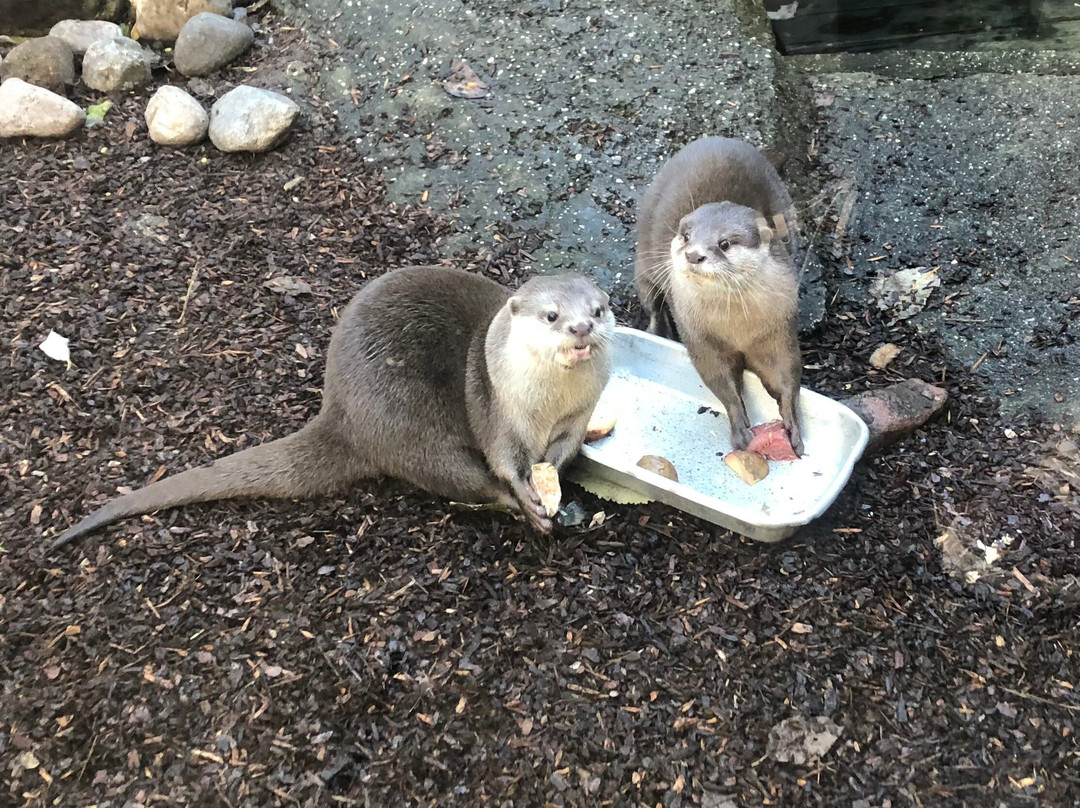 Zoo am Meer-不来梅港必去景点