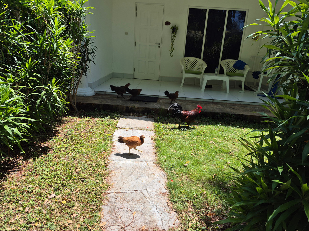 赤道村酒店主图