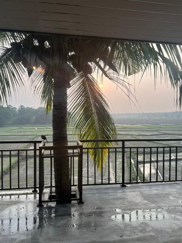 稻田乐园旅馆-酒店景观