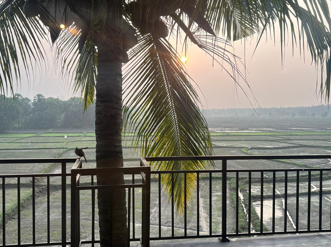 Heaven Upon Rice Fields主图