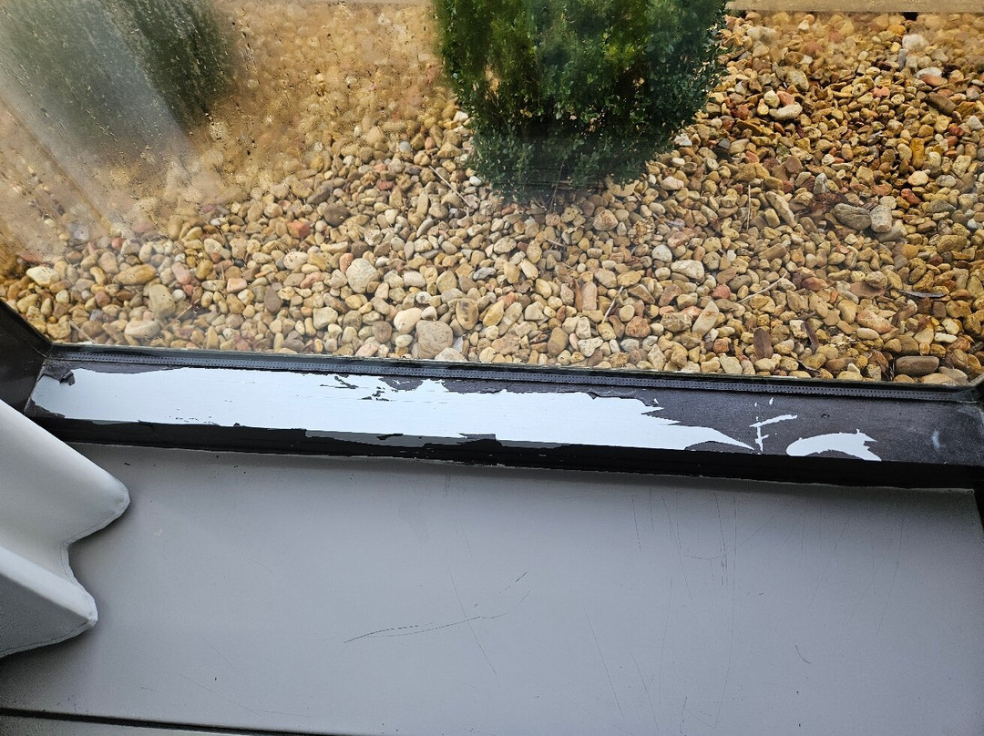 Best Western New Albany主图