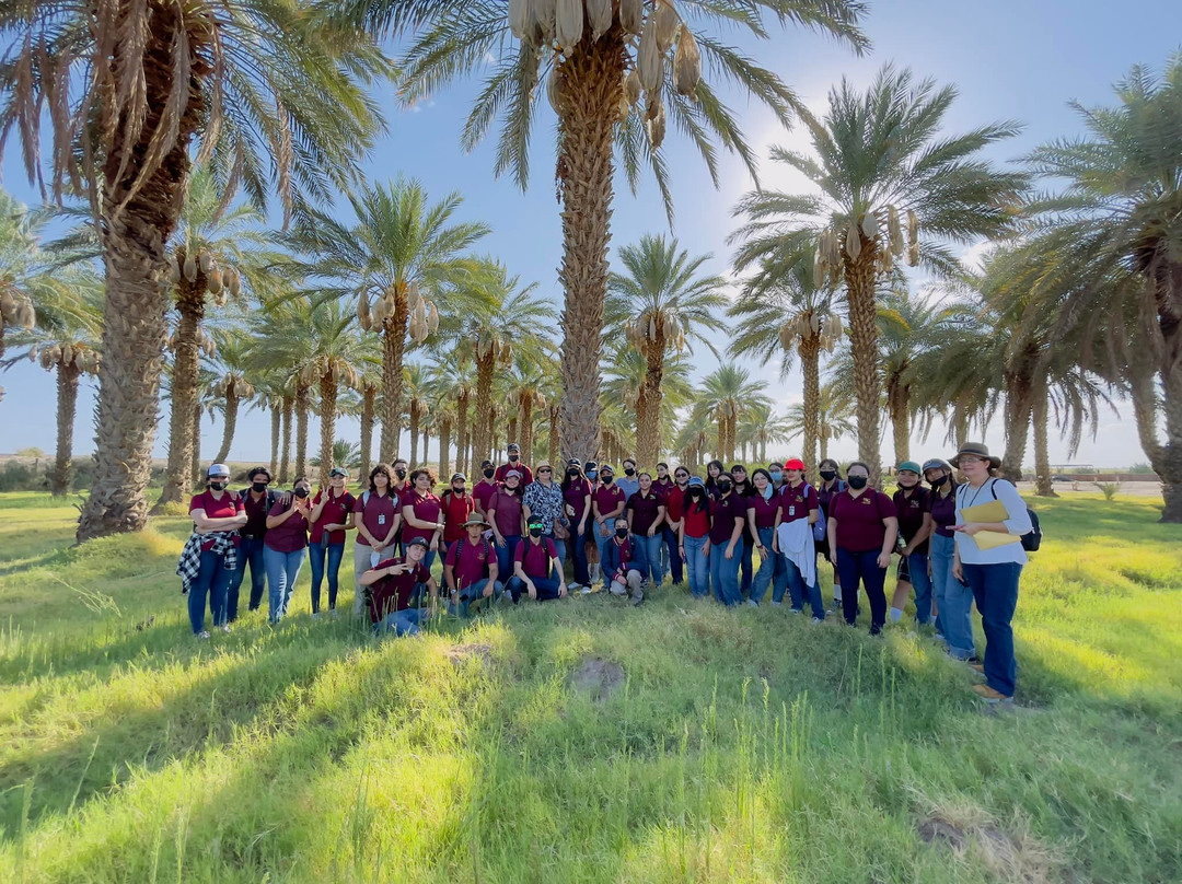 Palmeras RQ-Mexicali必去景点