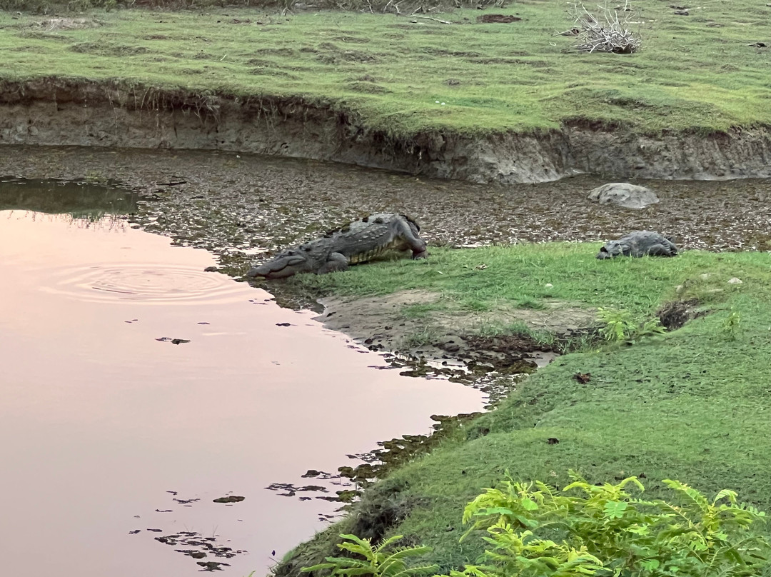 Yala Lahiru Safari-蒂瑟默哈拉默必去景点