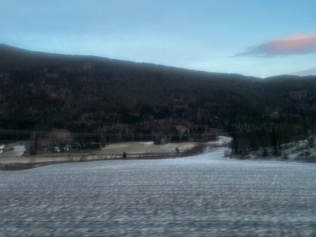 Bergen to Oslo Train Ride-卑尔根必去景点