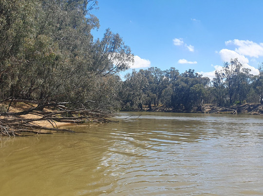 Emmy Lou Cruise Echuca-伊丘卡必去景点