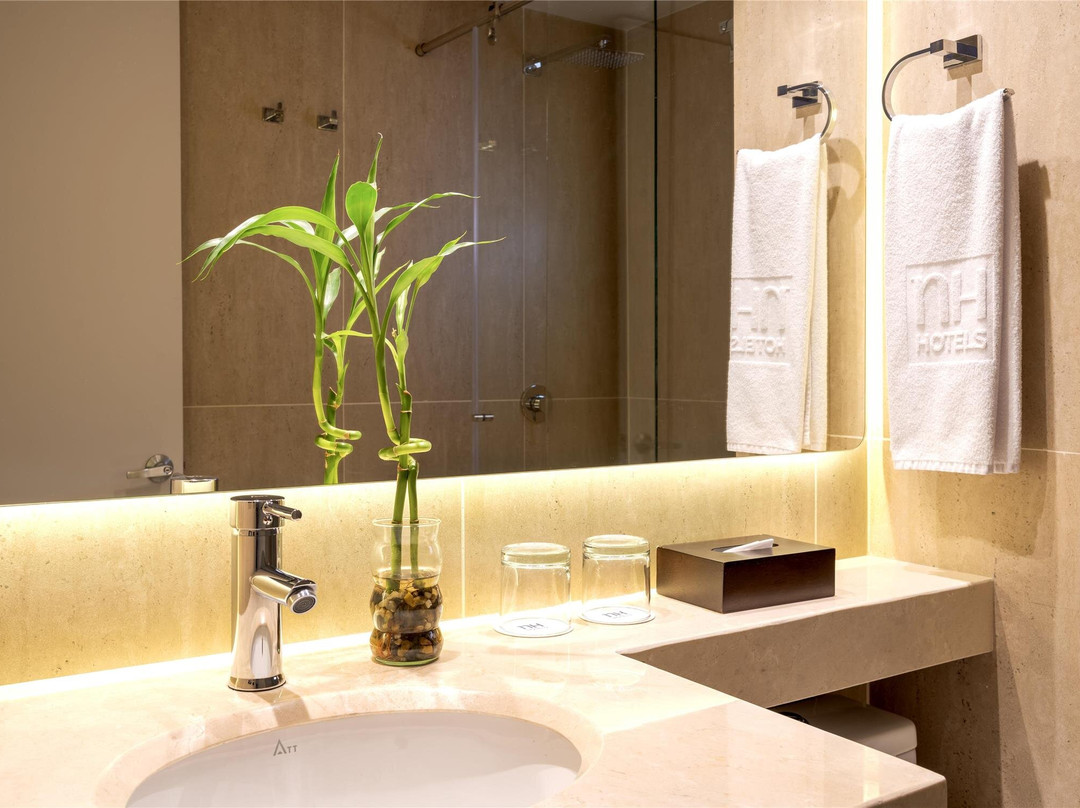 卡利里奥大道 NH主图