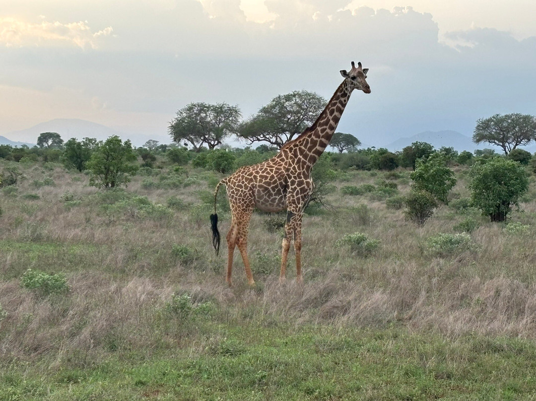 Jacaranda Beach Resort主图