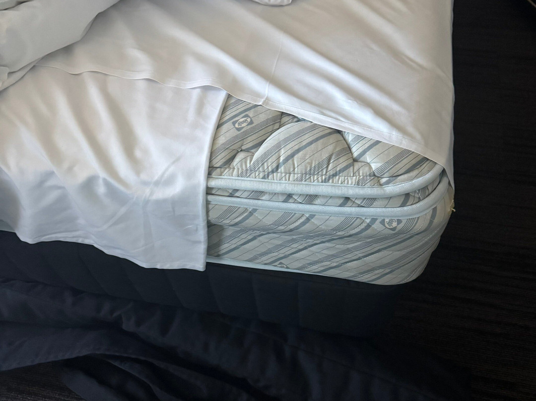 汤斯维尔酒店住宿-汤斯维尔假日酒店