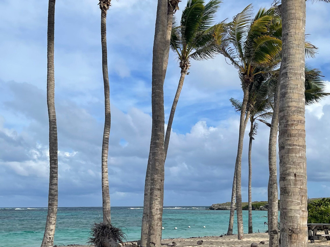 Tarzan Excursion Guadeloupe-Sainte-Anne必去景点