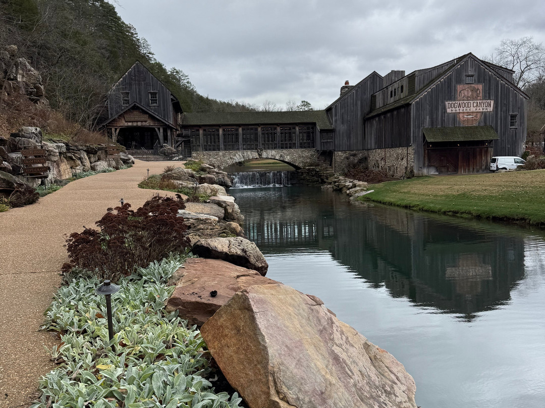 Dogwood Canyon Nature Park-Lampe必去景点