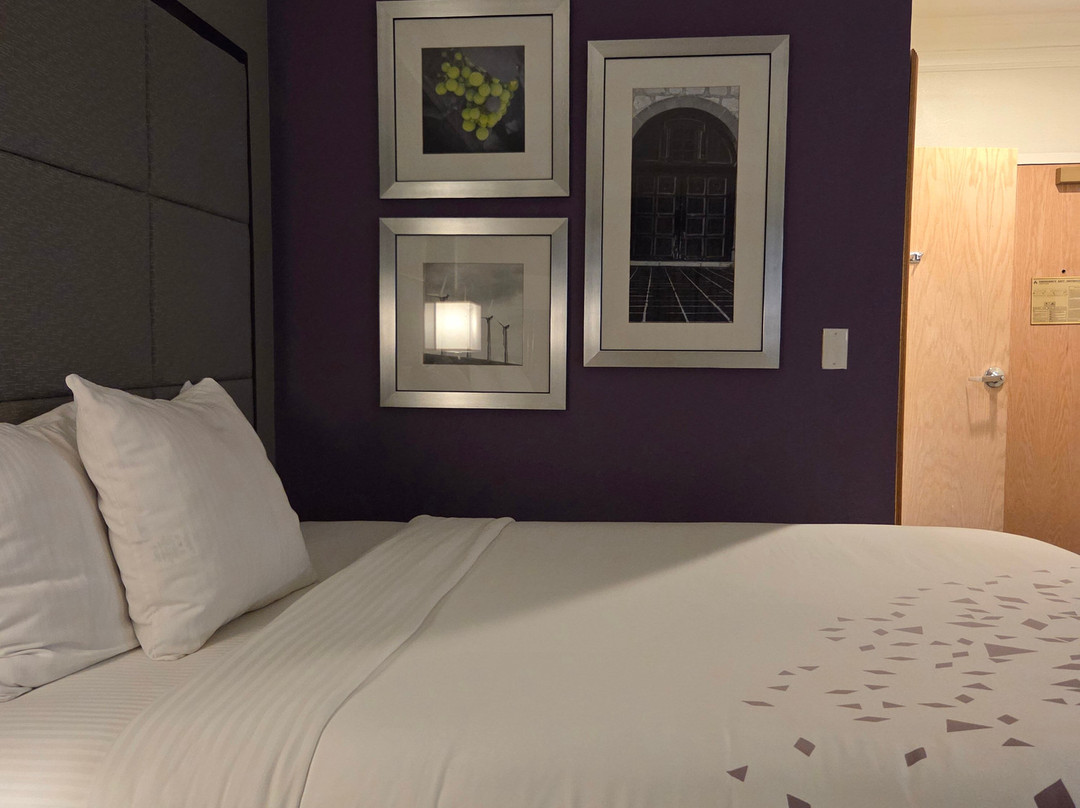 普莱森顿都柏林拉金塔旅馆及套房酒店主图