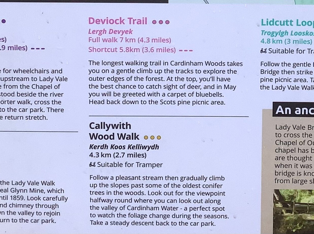 Cardinham Woods - Forestry England-博德明必去景点