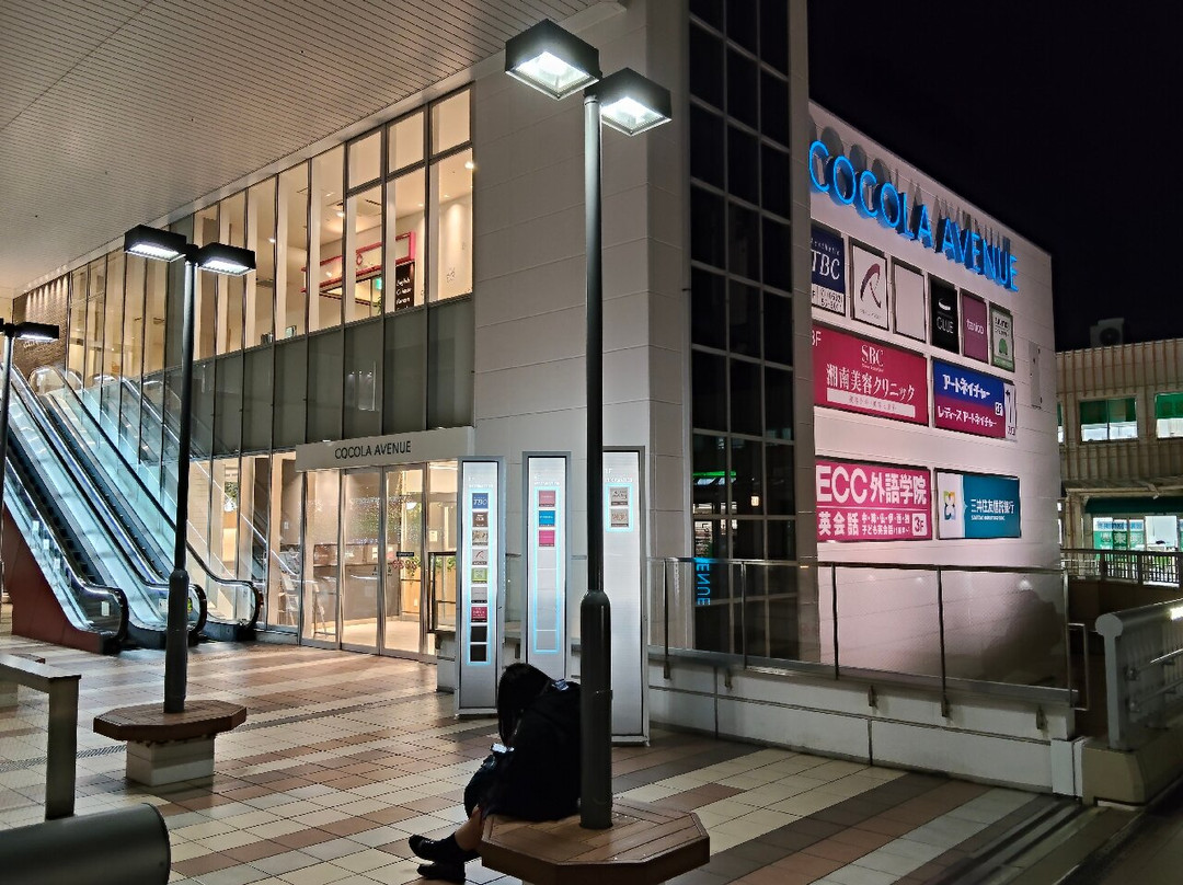 Cocola Avenue-丰桥市必去景点