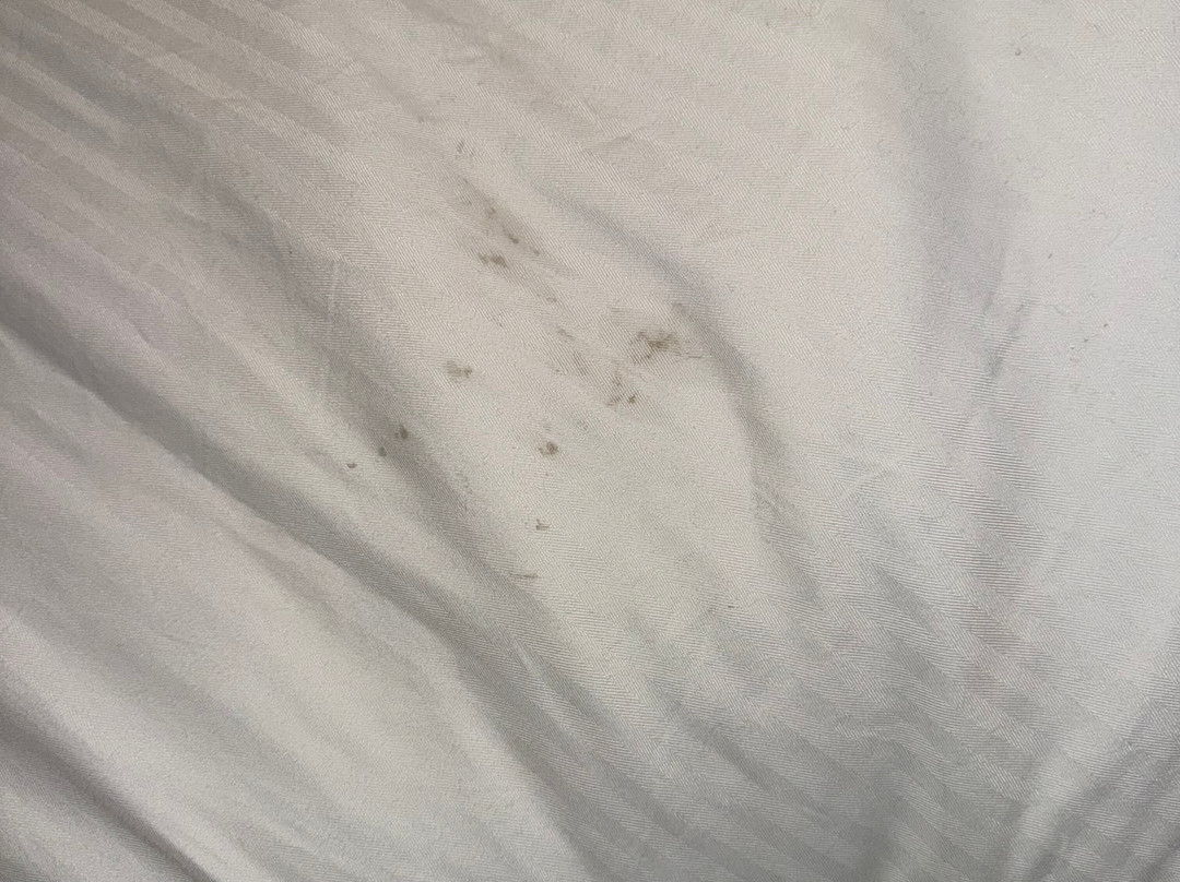 La Quinta Inn & Suites by Wyndham Atlanta Conyers主图