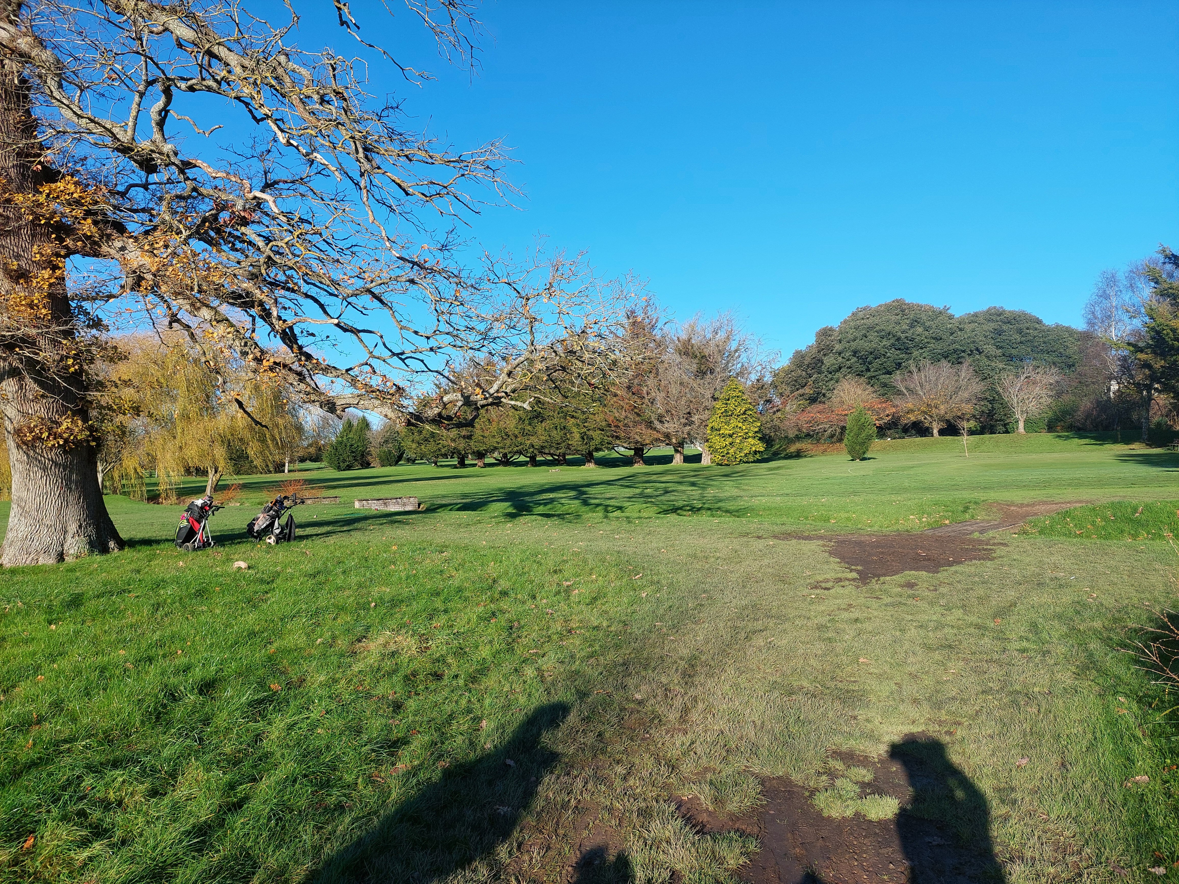 希尔顿阿维斯福德公园酒店-官方