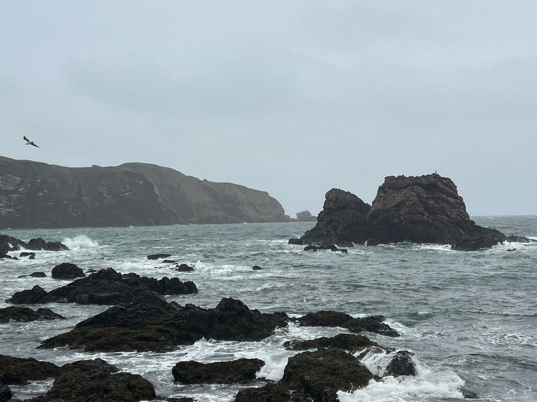 St Abbs Harbour-St Abbs必去景点