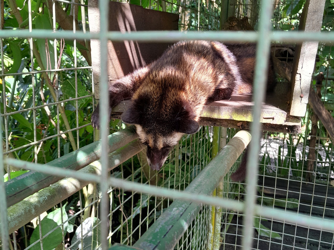 Bali and Car - Rent a car with driver-Dangin Puri必去景点