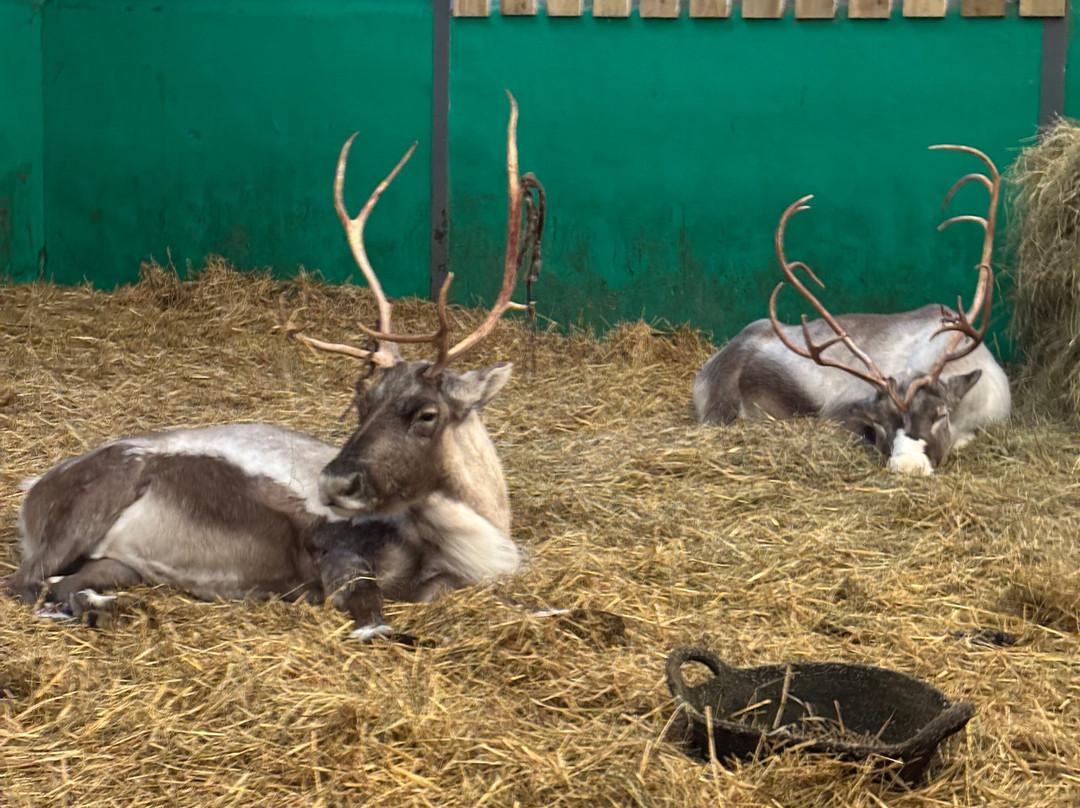 Walby Farm Park-Crosby on Eden必去景点