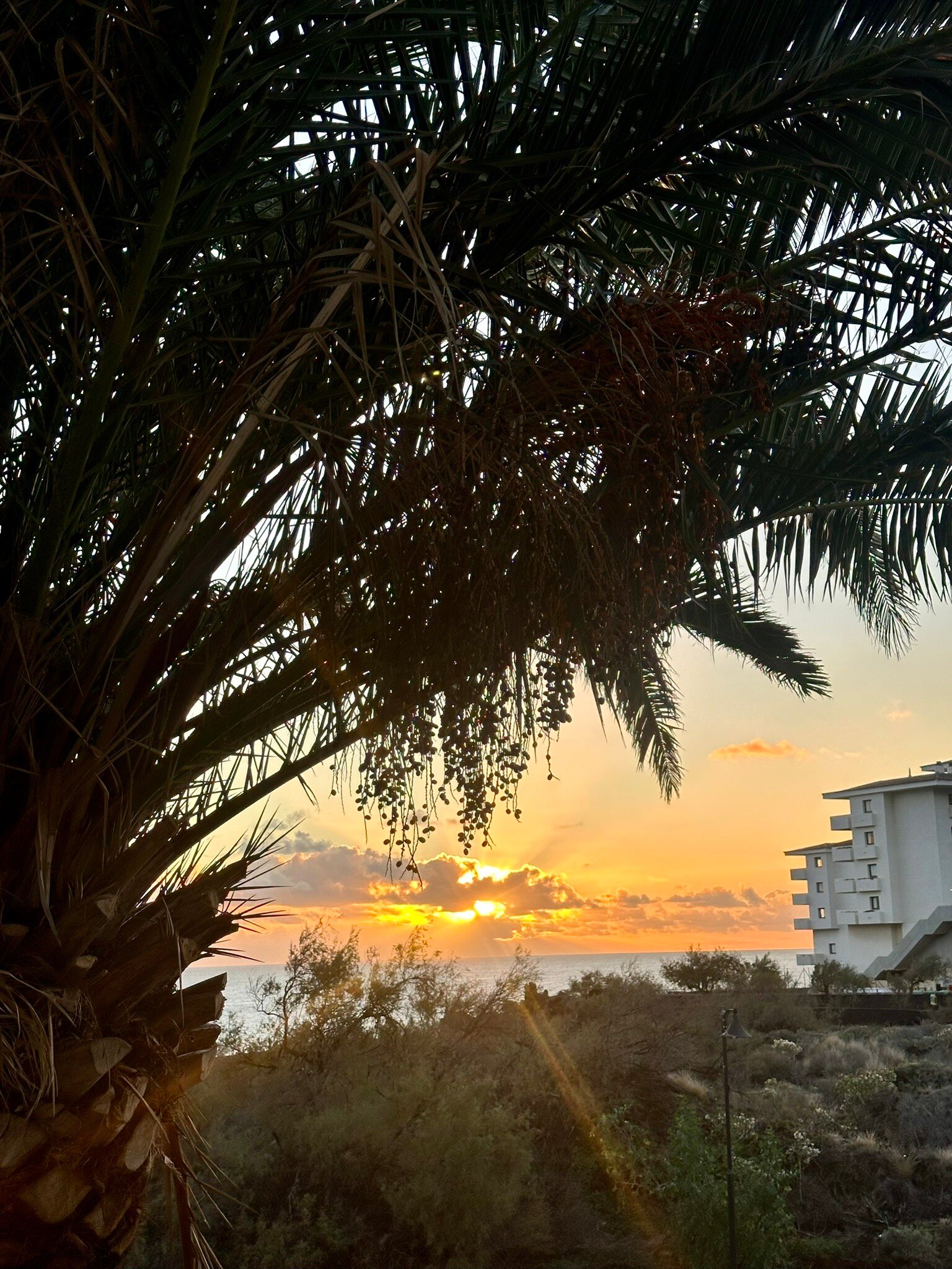 Apartamentos Centro Cancajos-官方