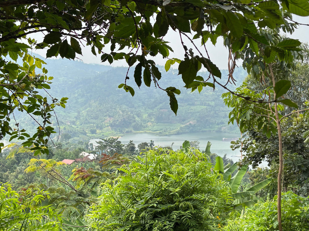 Kabendera Rwanda Hike-Rubavu必去景点