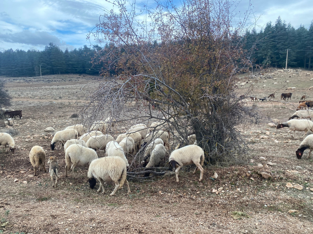 Fes Excursion Day Tours-非斯必去景点