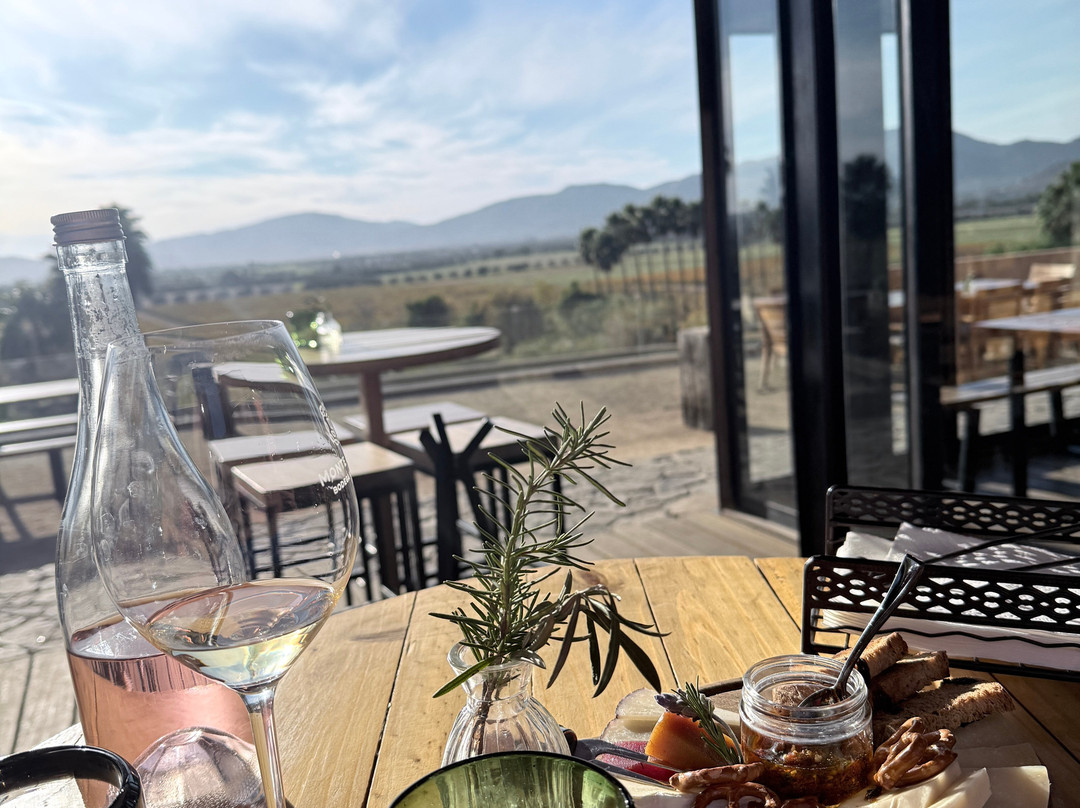 Monte Xanic Bodega Vinícola-Valle de Guadalupe必去景点