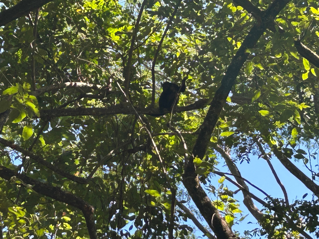 Life Time Travel-萨迪纳尔必去景点