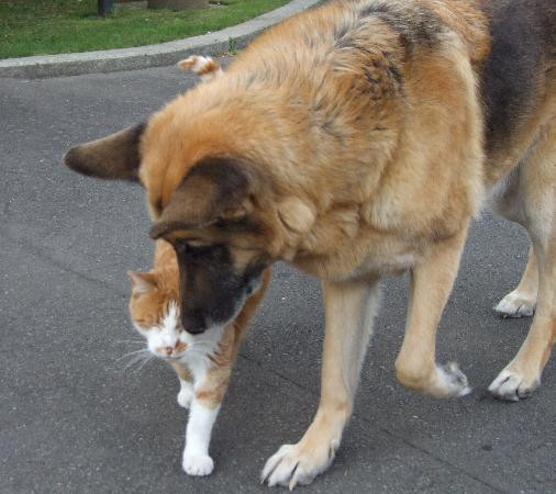 Linton酒店住宿-Pavilion Motel & Conference Centre