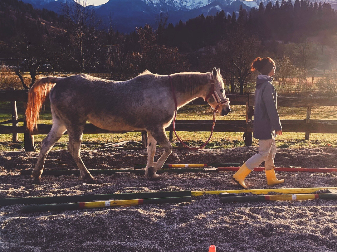 Učni ranč-Bohinjska Cesnjica必去景点
