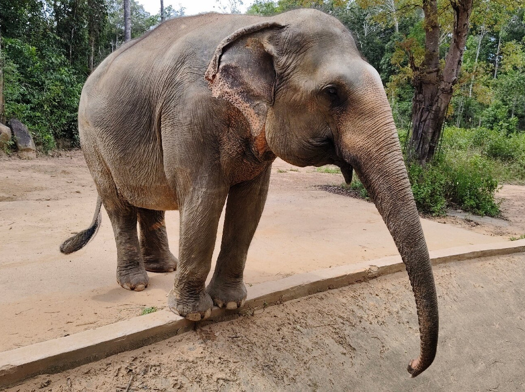 Amega Tour and general trading company limited-河内必去景点