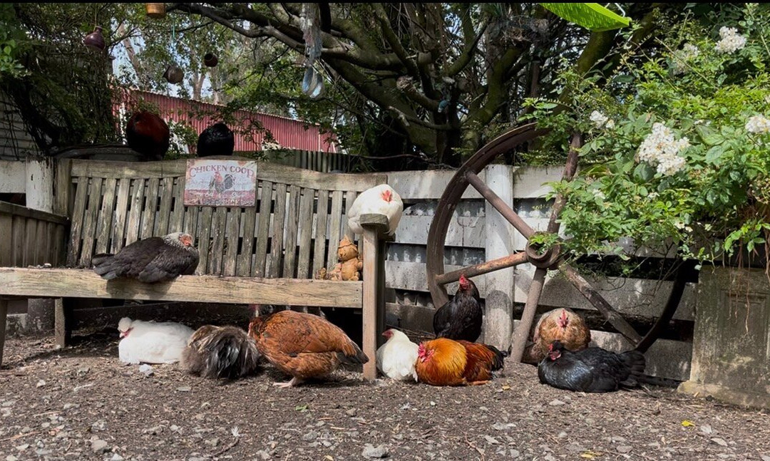 Demolition World-因弗卡吉尔必去景点