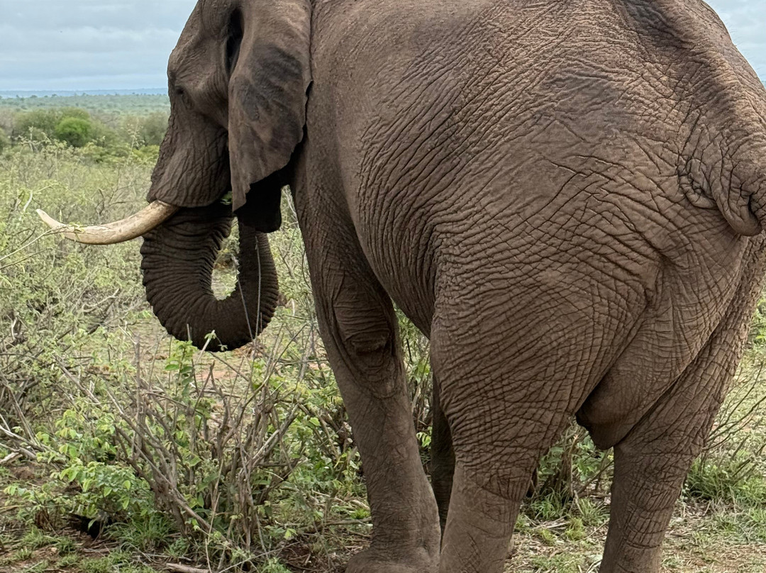 Famba Travel & Safaris-参宁必去景点