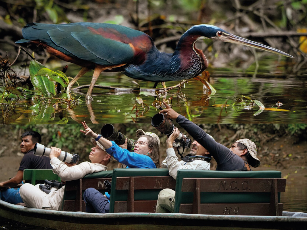 Ecuador Birds Tours-基多必去景点