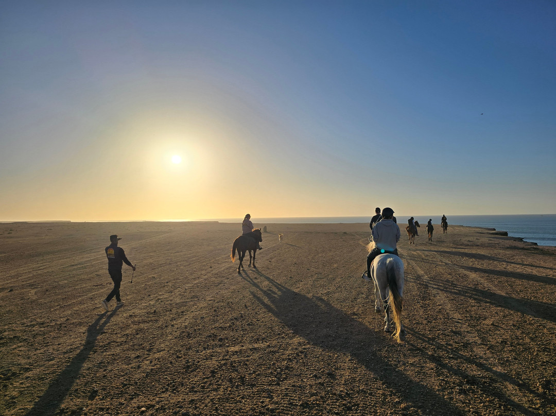 Ranch Des Dunes-达赫拉必去景点