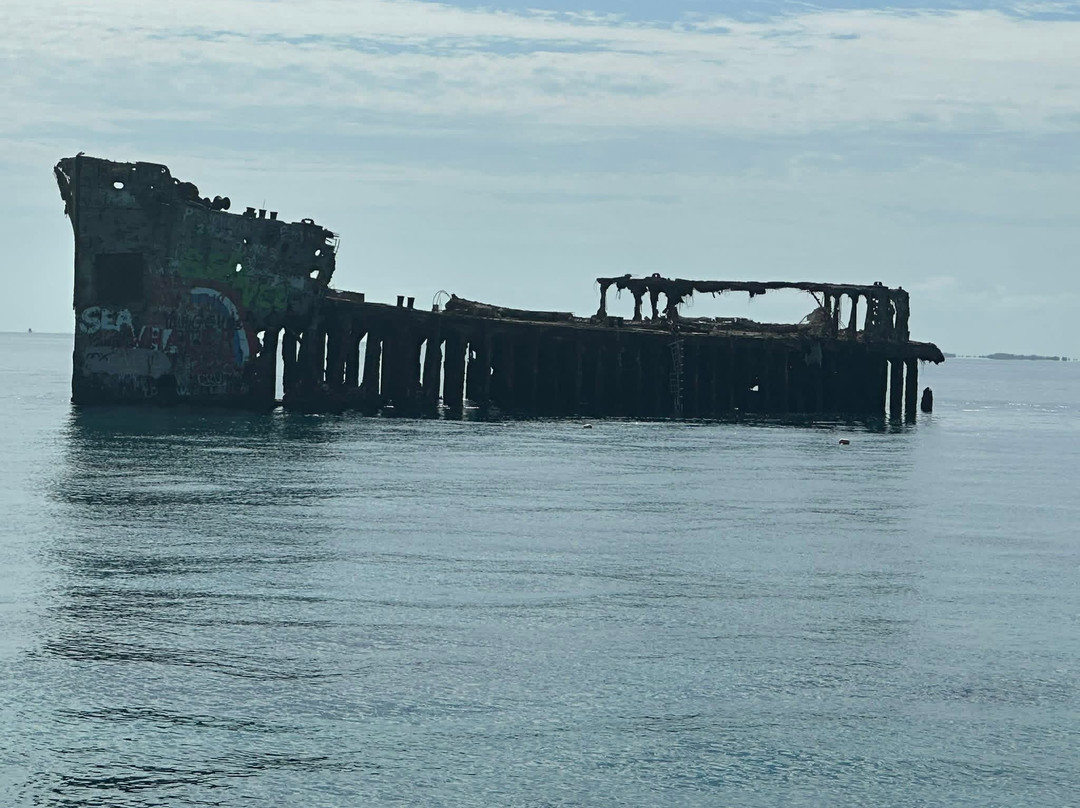 Neal Watson's Bimini Scuba Center-Alice Town必去景点