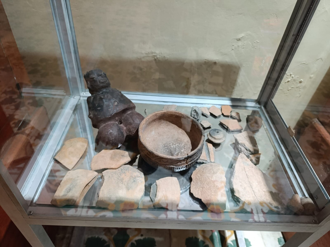 Museum of Indigenous Amazonian Cultures-伊基托斯必去景点