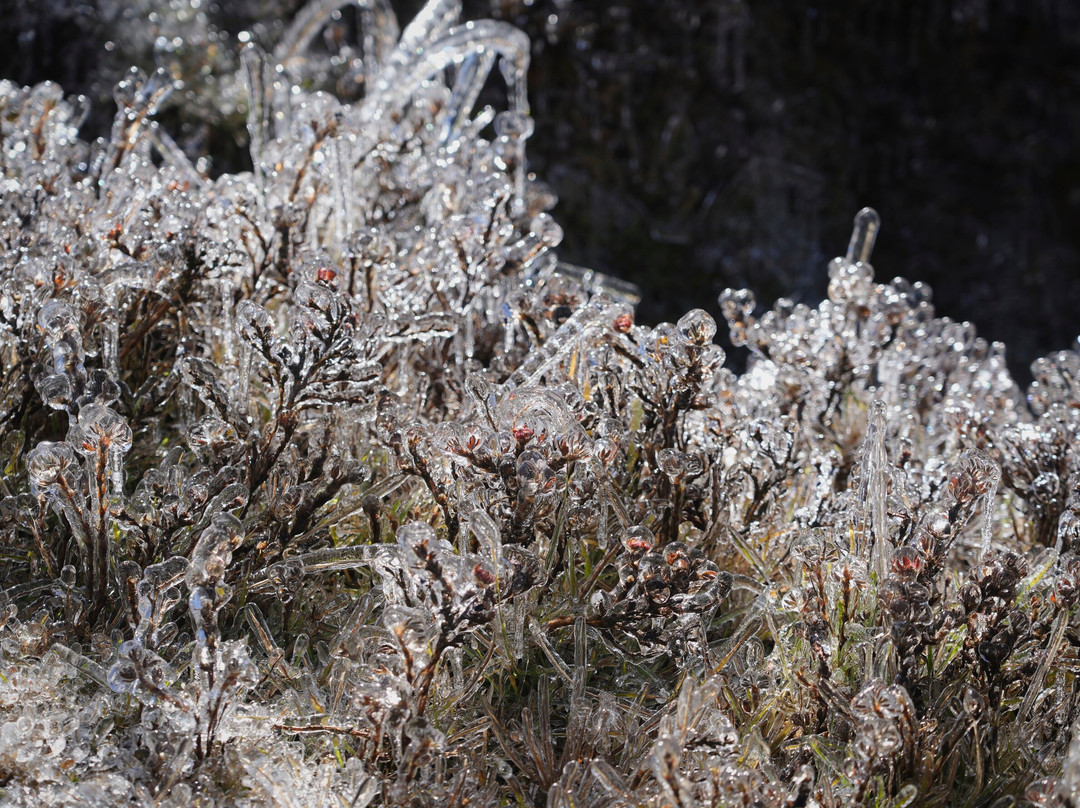 Touren Nepal Treks-Budhanilkantha必去景点