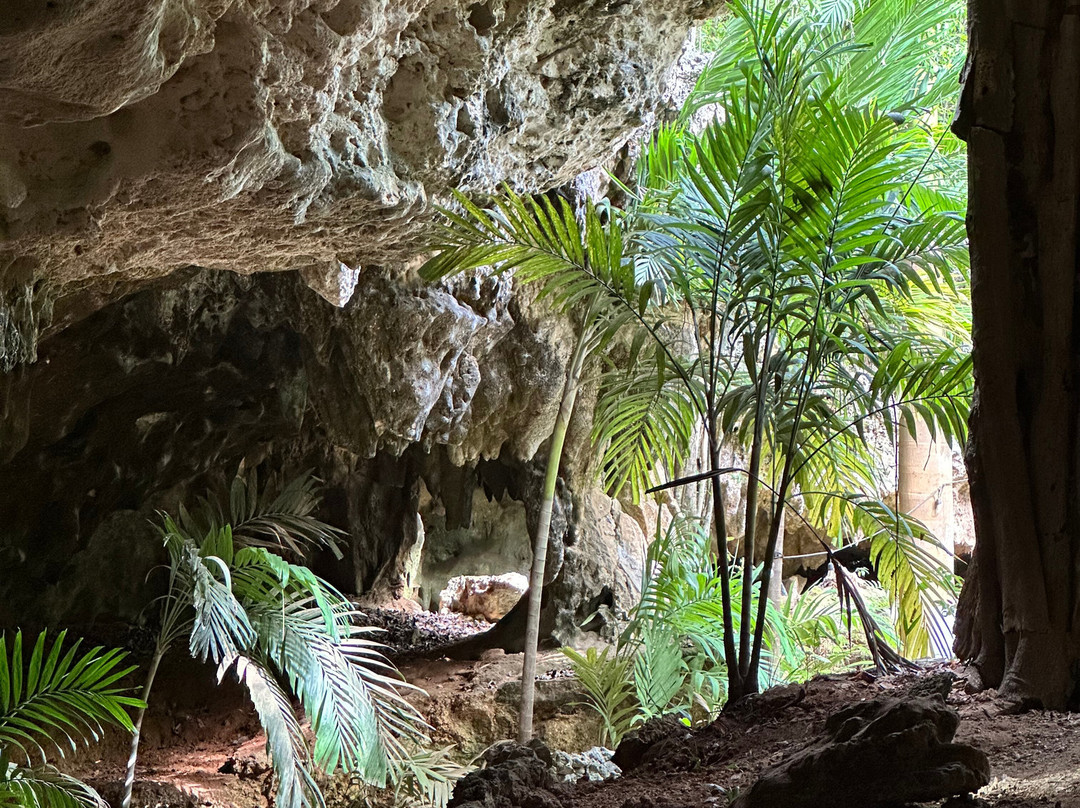 Cayman Crystal Caves-大开曼岛必去景点