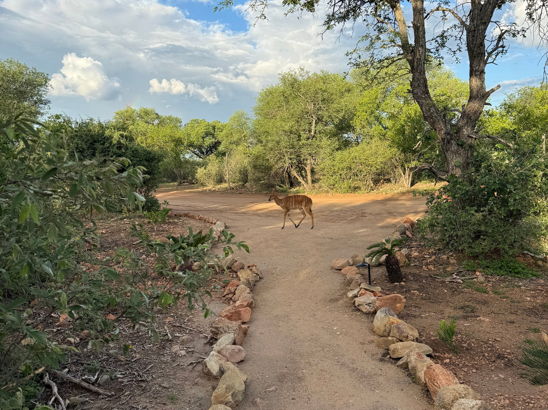 Oase By 7 Star Lodges主图