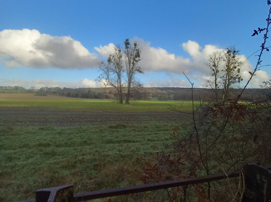 Coombe Hill-艾尔斯伯里必去景点