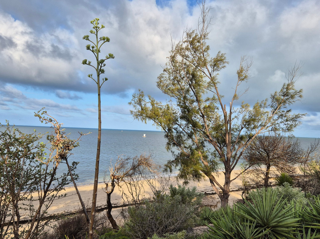 Les Dunes d'Ifaty主图