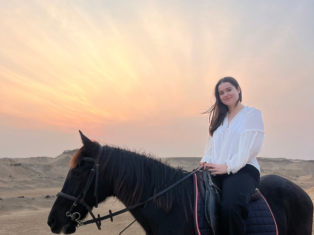 Cairo Horse Riding School-吉萨必去景点