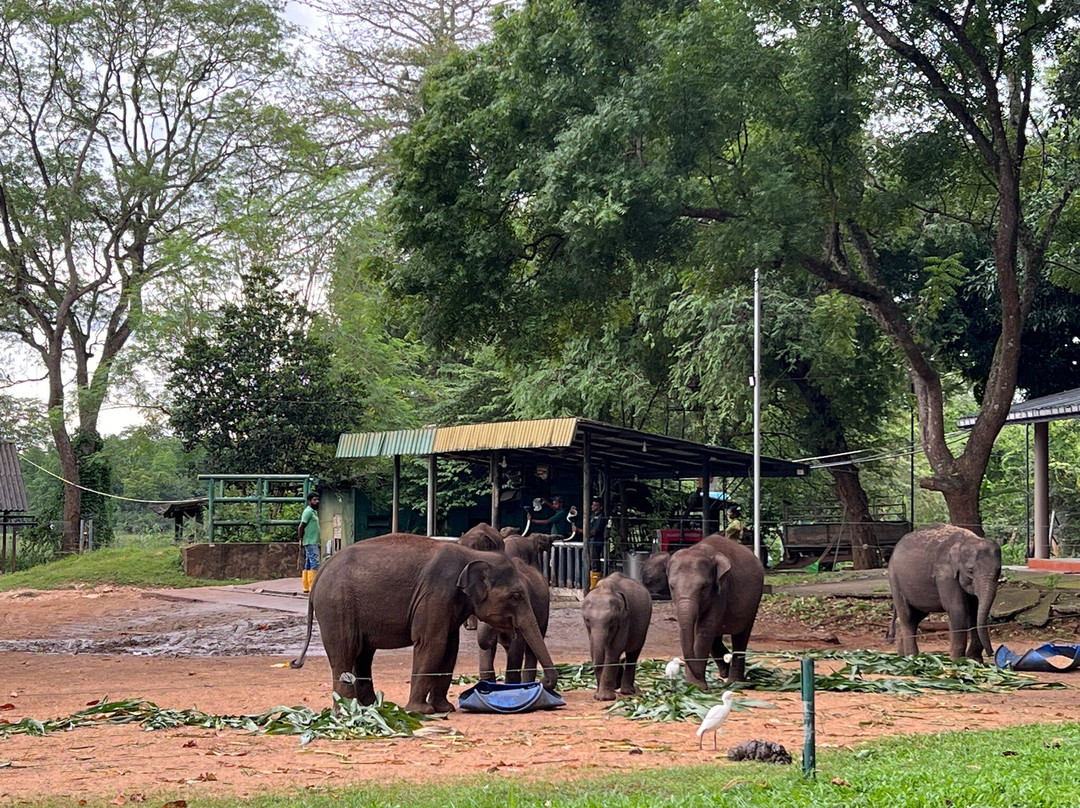 Elephant Transit Home (ETH)-乌达瓦拉维国家公园必去景点