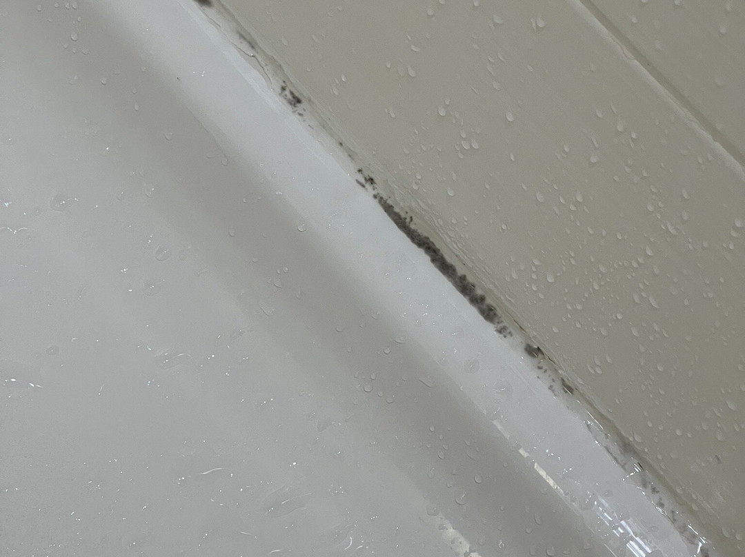 Holiday Inn Express Sunnyvale - Silicon Valley By IHG主图