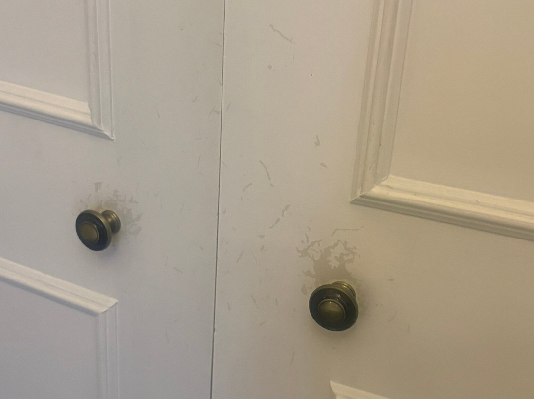 St Andrews Town Hotel主图