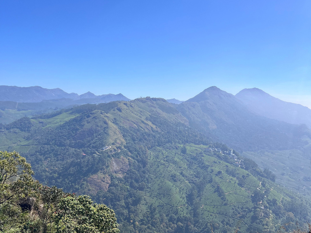 Munnar tea Green trekking adventure-慕那尔必去景点
