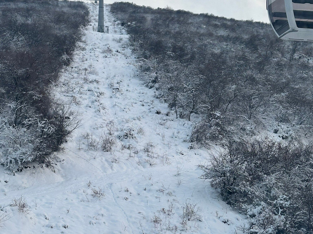 Chinorkent Cable Car-Charvak必去景点