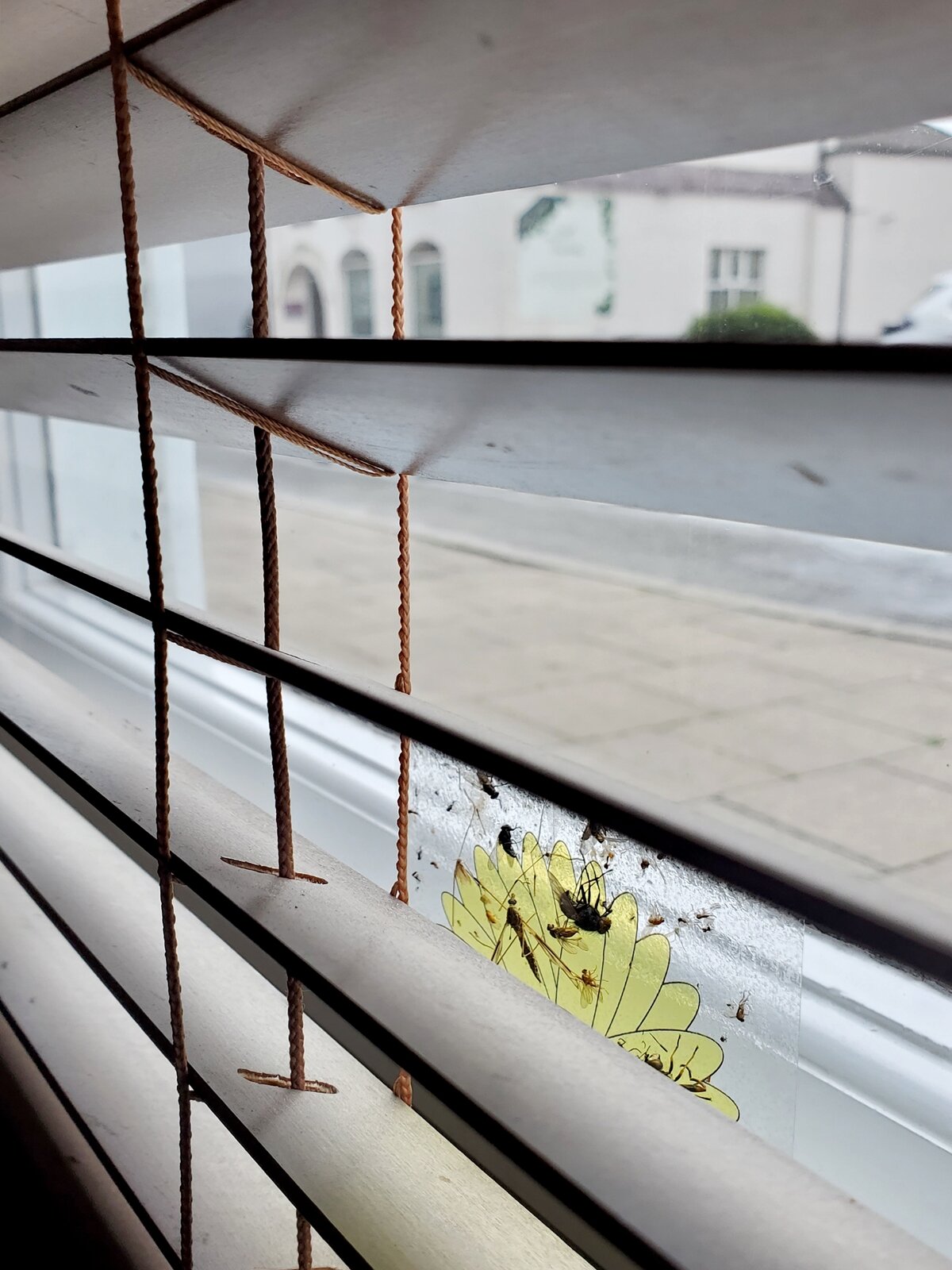 斯皮尔曼酒店-餐饮