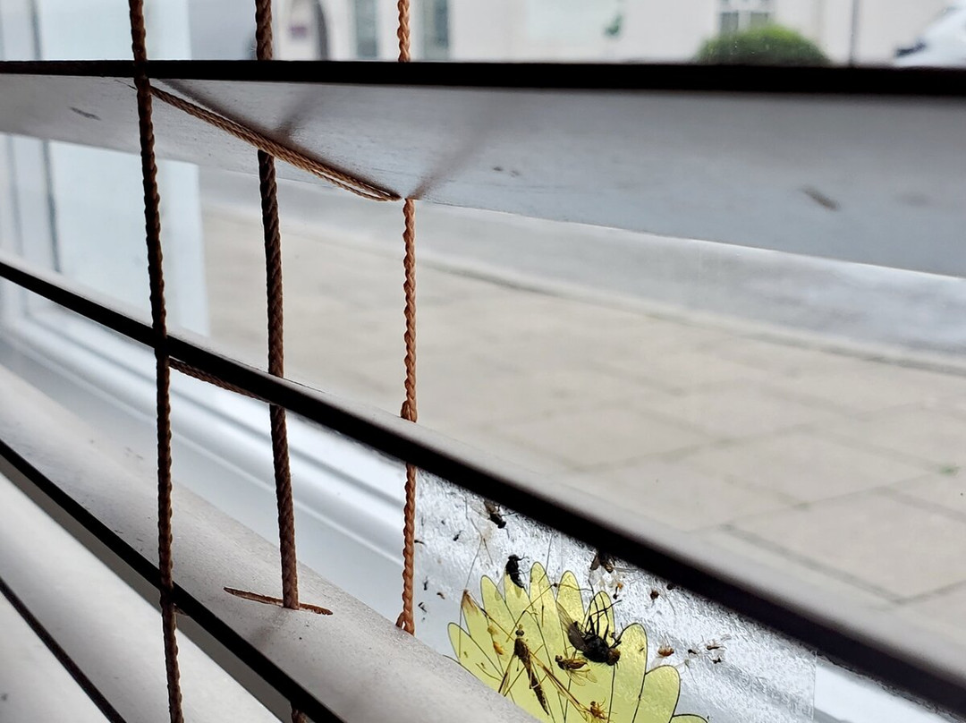 斯皮尔曼酒店主图